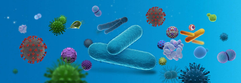 Microbes