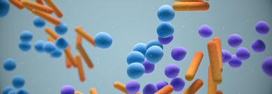 The Comeback Infection