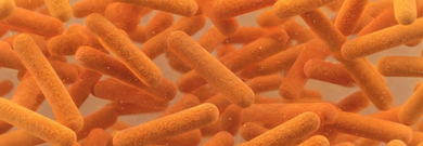 Antimicrobial Resistance - fierce challenges