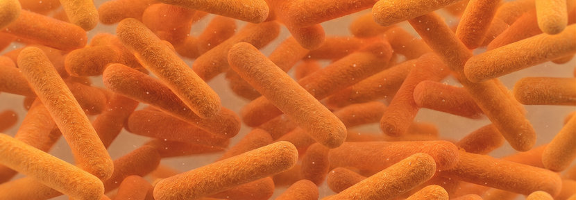 Antimicrobial Resistance - fierce challenges