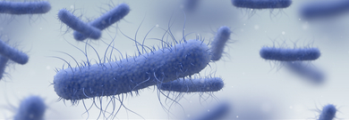 Healthcare-associated infection (HAI) pathogens