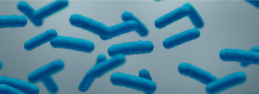 Antimicrobial Resistance