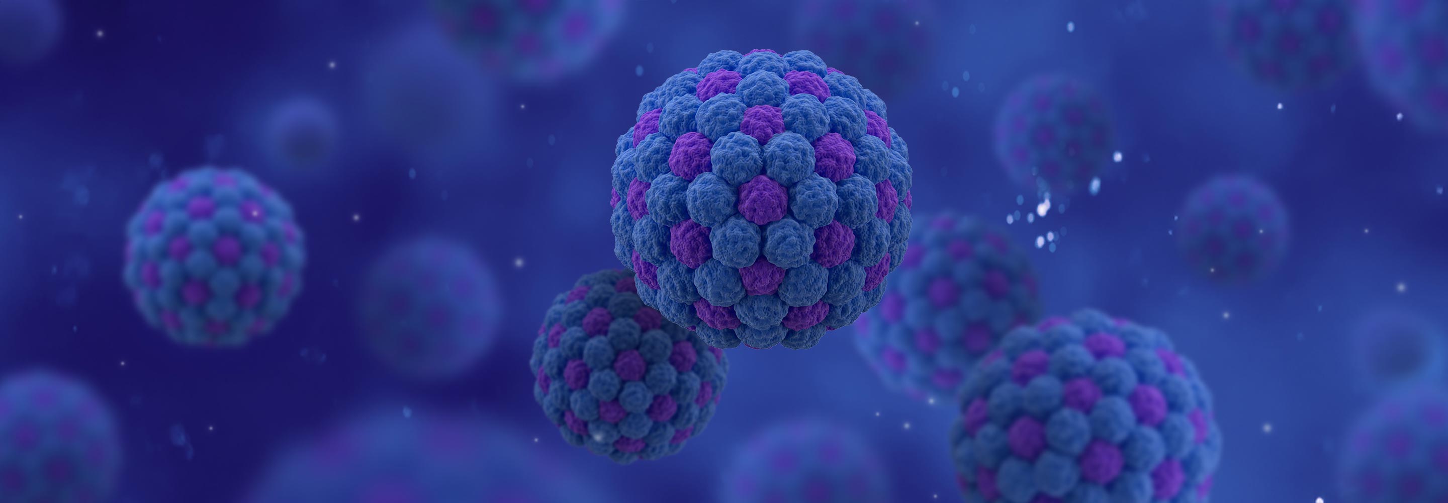Illustration of multiple norovirus particles floating against a dark background, with the word “NOROVIRUS” centered in bold text.