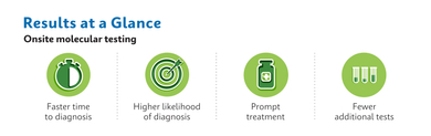 Molecular testing infographic