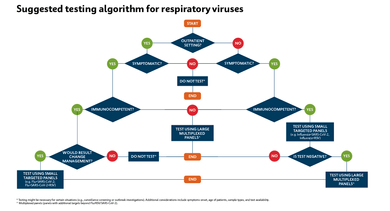 Suggested testing algorithm for respiratory viruses