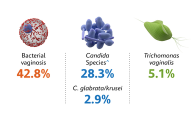 Figure 2. Prevalence of infections based on concordant NAAT results.