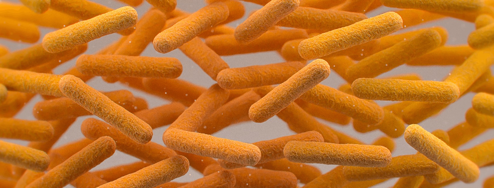 C difficile computer generated depiction.