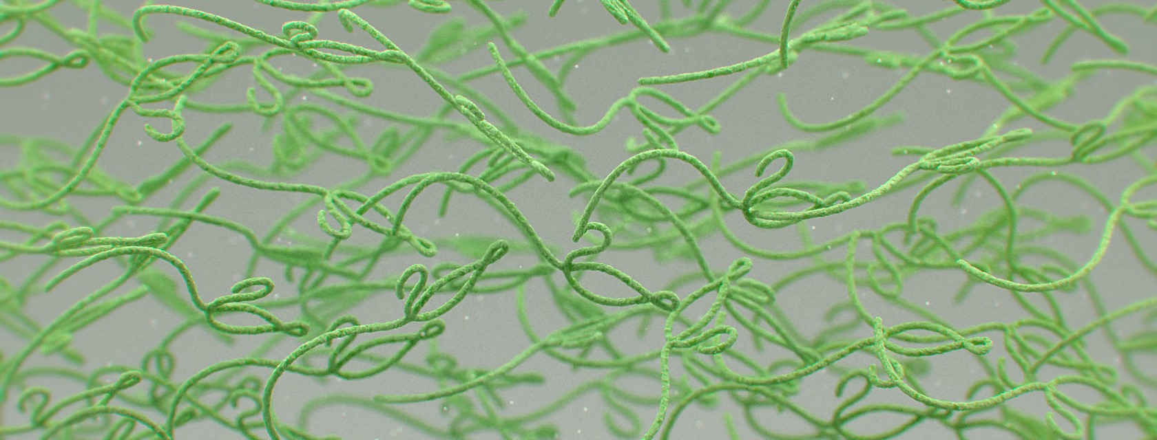 Ebola computer generated depiction.
