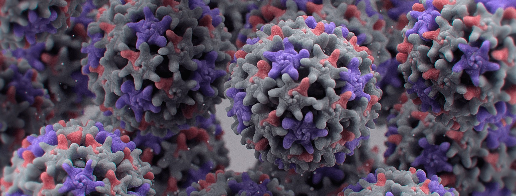 HBV Viral Load computer generated depiction.