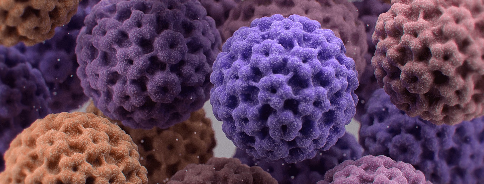 HPV v2 computer generated depiction.