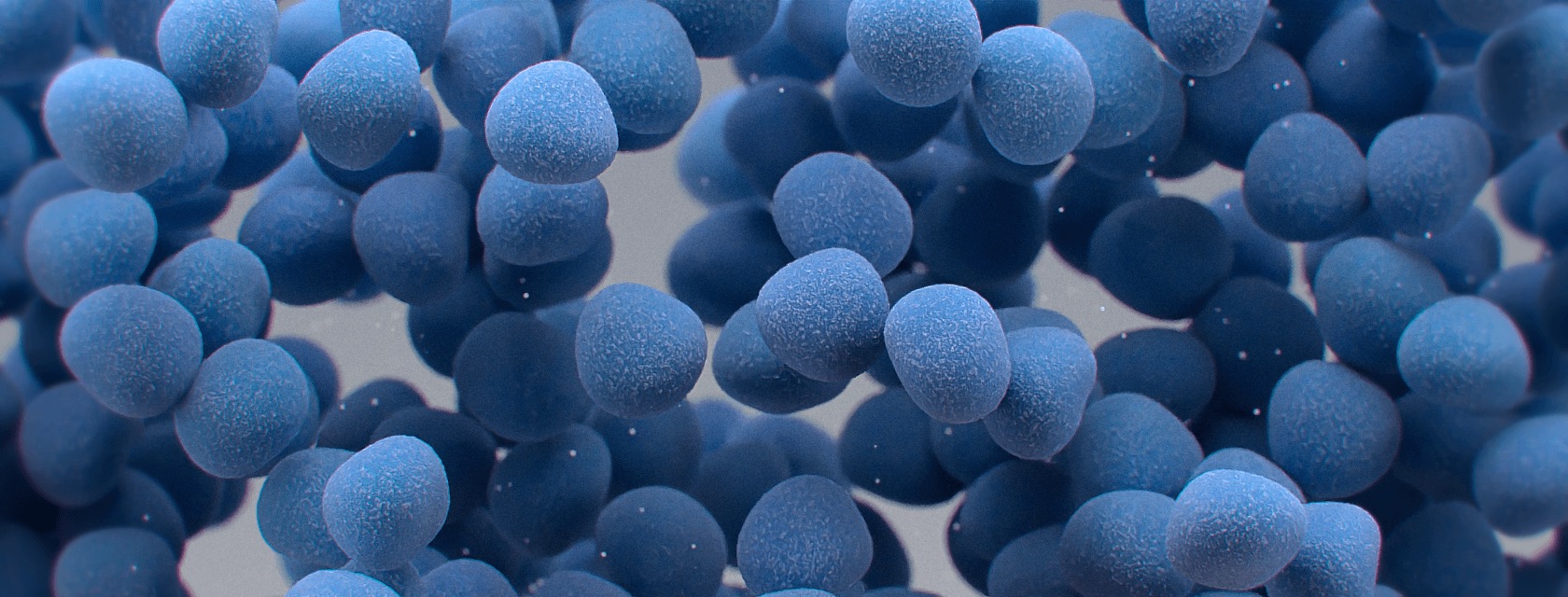 MRSA/SA SSTI computer generated depiction.