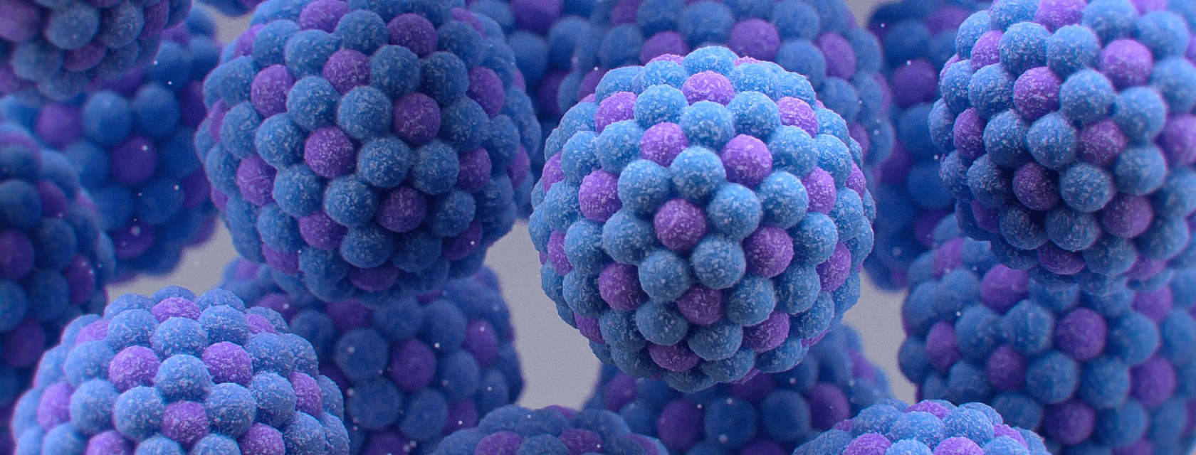 Norovirus computer generated depiction.