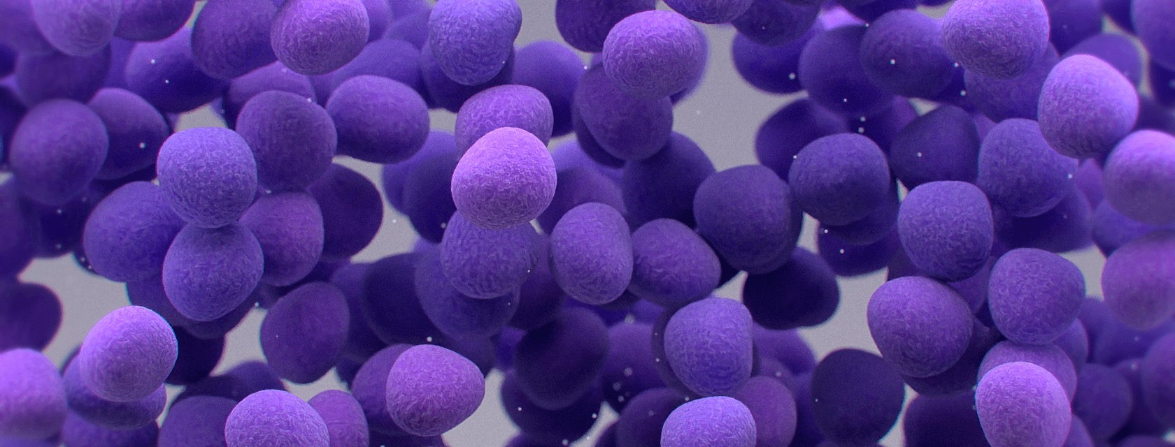 S. aureus and MRSA (Nasal Complete) computer generated depiction.