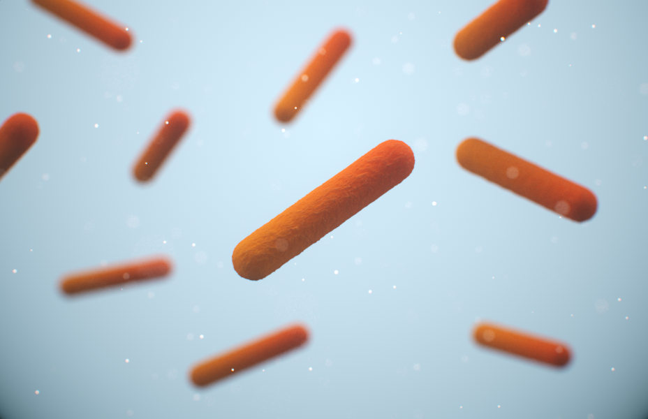 <em>C. difficile</em>