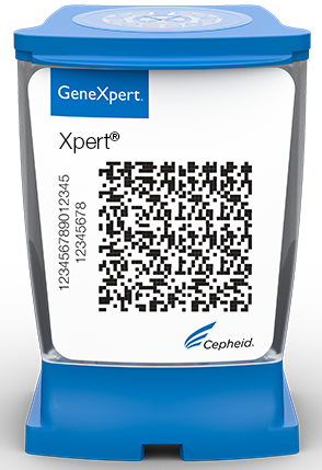 Kuva GeneXpert -kasetista