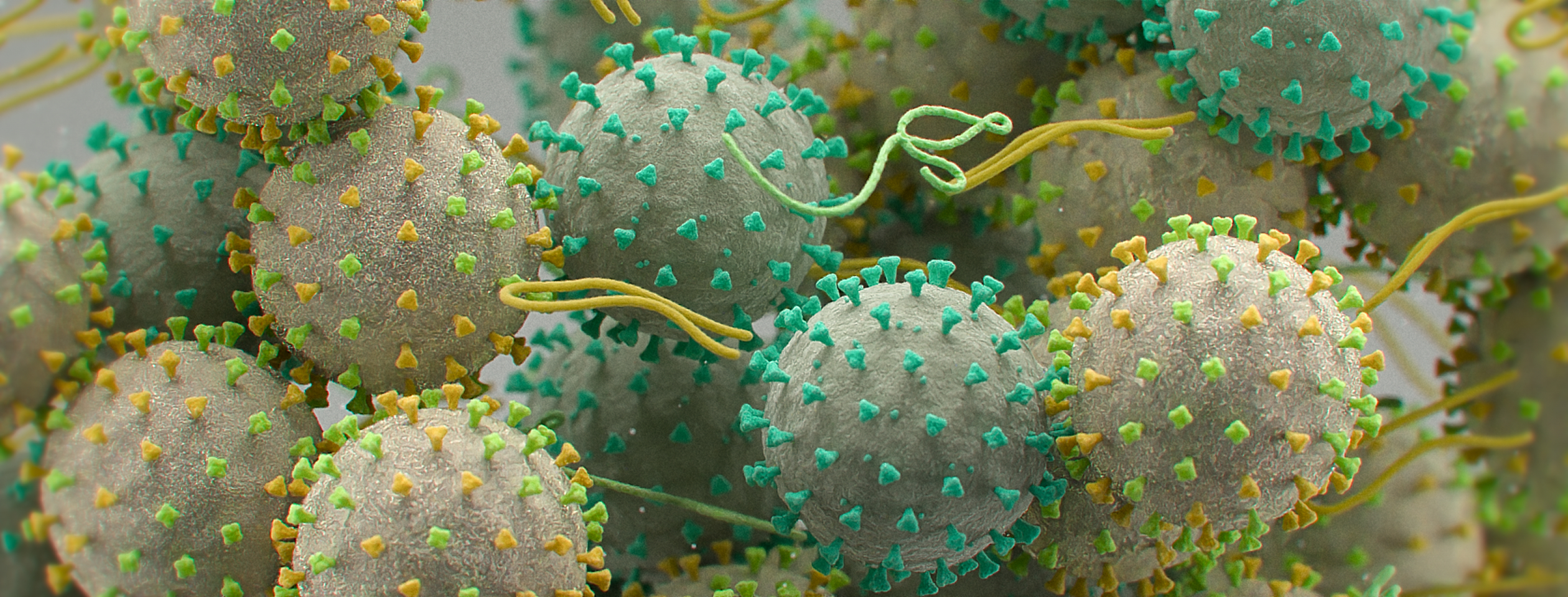 img-xpert-hemorrhagic-fever-panel-hero